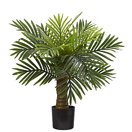 Nearly Natural 26"H Robellini Palm Artificial Tree, 26"H x 22"W x 19"D, Black/Green