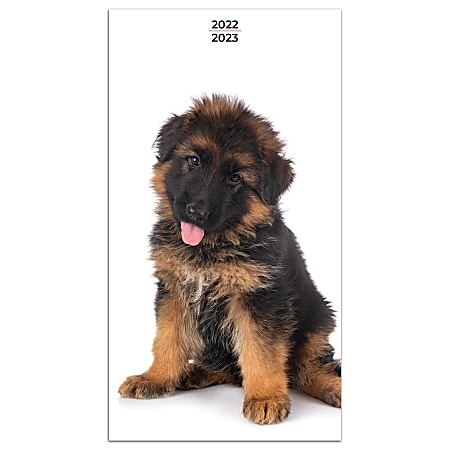 TF Publishing 2-Year Monthly Pocket Planner, 3-1/2" x 6-1/2", Puppies, January 2022 To December 2023