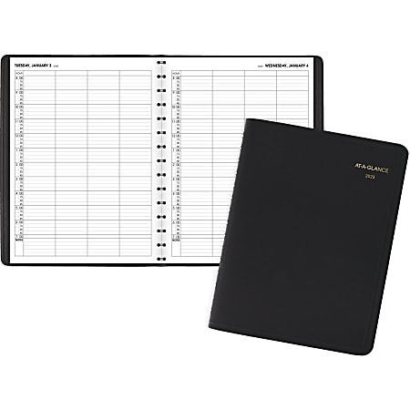 AT-A-GLANCE 2023 RY Four Person Group Daily Appointment Book, Black, Large, 8" x 11"