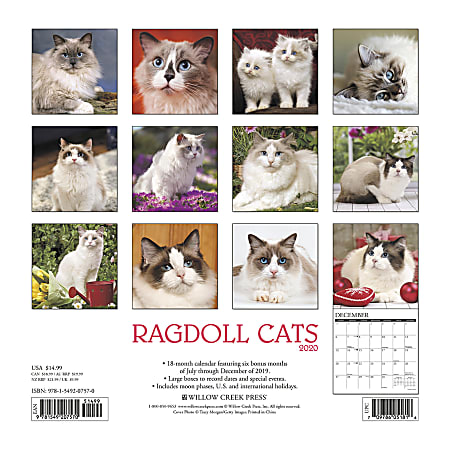 Willow Creek Press Animals Monthly Wall Calendar 12 x 12 Ragdoll Cats ...