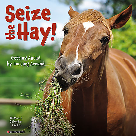2024 Willow Creek Press Humor & Comics Monthly Wall Calendar, 12" x 12", Seize The Hay (Horses), January To December