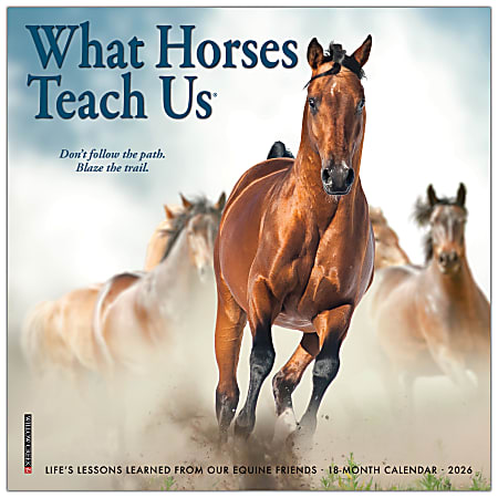 2026 Willow Creek Press Monthly Mini Wall Calendar, 7" x 7", What Horses Teach Us, January To December, 53843