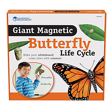 Learning Resources Giant Magnetic Butterfly Life Cycle, Set Of 9