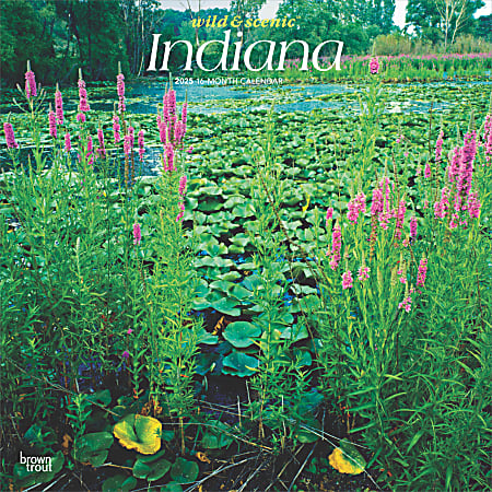 2025 BrownTrout Indiana Wild & Scenic Monthly Plastic-Free Square Wall Calendar, 12" x 12", American States, January to December 2025, 9781975474959