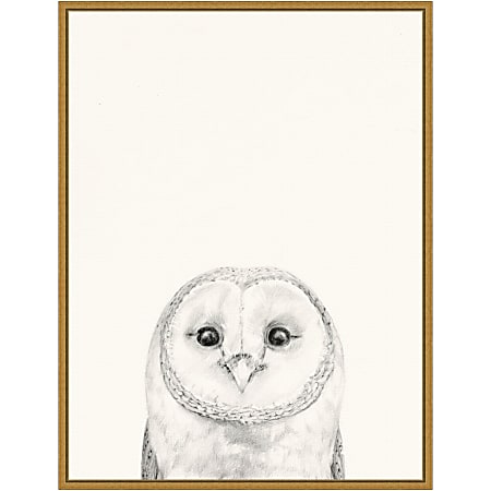 Amanti Art Animal Mug III Owl by Victoria Borges Framed Canvas Wall Art Print, 24”H x 18”W, Gold