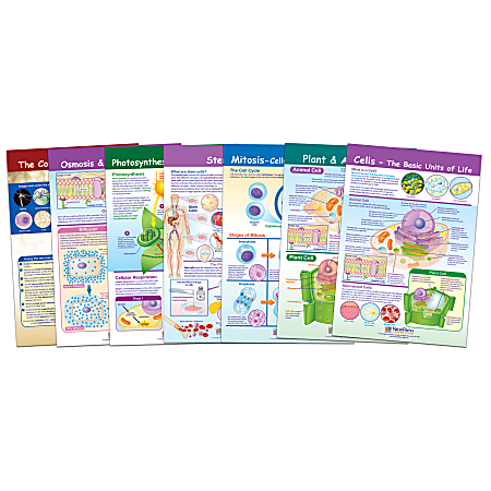 NewPath Learning Cells Bulletin Board Chart Set, Grades 3  5, Set Of 7