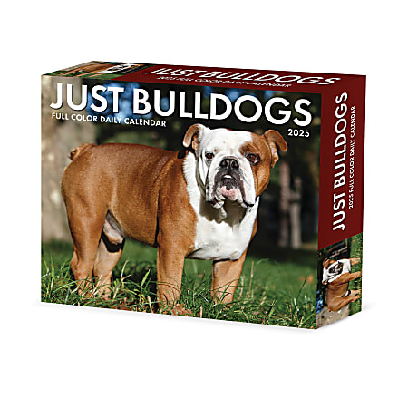 2025 Willow Creek Press Daily Desk Box Calendar, Animals, 5-1/2” x 6-1/4”, Bulldogs, January To December, 40706