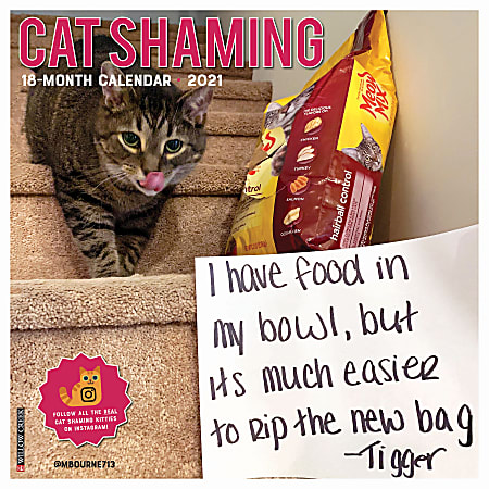 Willow Creek Wall Calendar Cat Shaming Office Depot