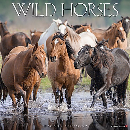 2024 Willow Creek Press Animals Monthly Wall Calendar, 12" x 12", Wild Horses, January To December