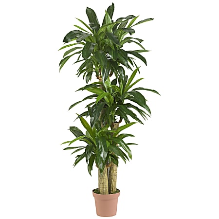 Nearly Natural 57"H Real-Touch Silk Corn Stalk Dracaena Plant With Pot, Green