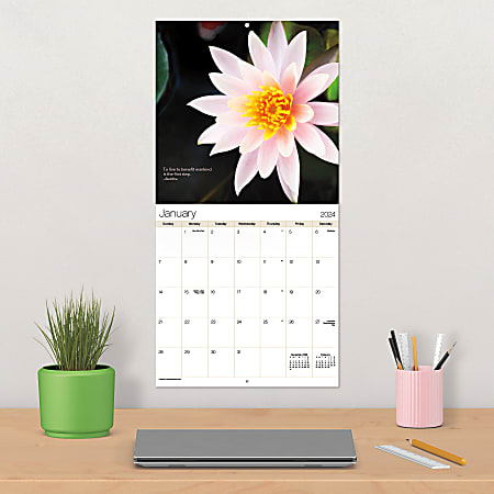 2024 DateWorks Monthly Wall Calendar 12 x 12 Zen January To December 2024 -  Office Depot