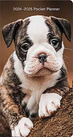 2024-2025 DateWorks 2-Year Monthly Pocket Planner, 3-1/2” x 6-1/2”, Puppies, January 2024  To December 2025