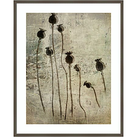 Amanti Art Poppy Seedlings by Nel Talen Wood Framed Wall Art Print, 33”W x 41”H, Gray