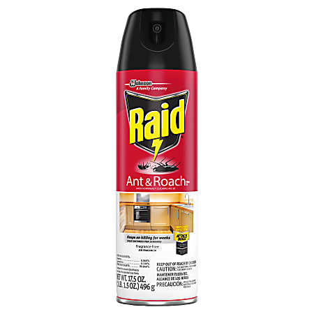 Raid Ant & Roach Killer, 17.5-Oz Spray Canister