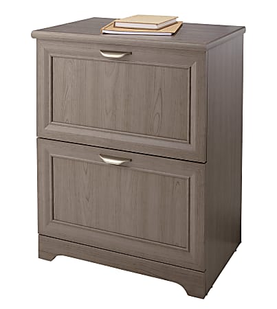 Realspace® Magellan 24”W Lateral 2-Drawer File Cabinet, Gray