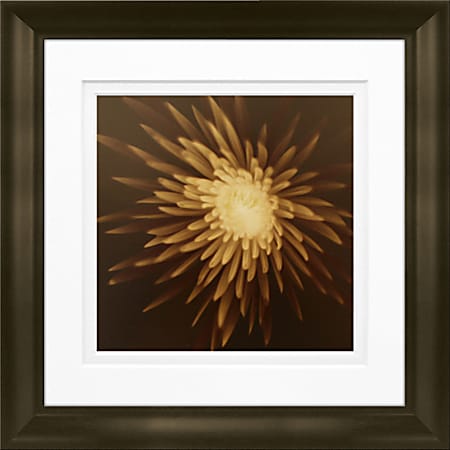 Timeless Frames Marren Espresso-Framed Floral Artwork, 8" x
