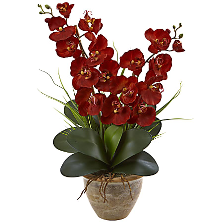 Nearly Natural Double Phalaenopsis Harvest Orchid Silk Floral Arrangement With Ceramic Vase, 25”H x 15-1/2”W x 12”D, Autumn