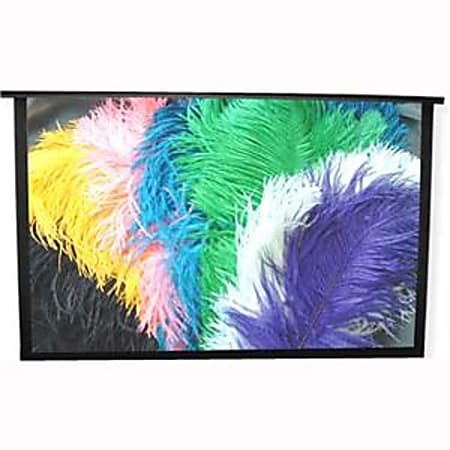 Draper Piper Portable Projection Screen