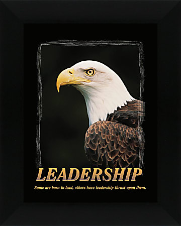 Crystal Art Leadership: Bald Eagle Artwork, 20" x 24"