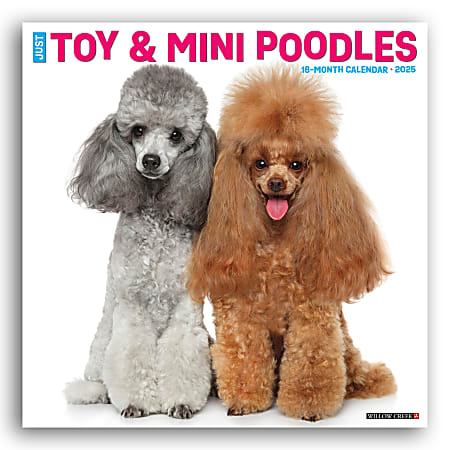 2025 Willow Creek Press Monthly Wall Calendar, 12" x 12", Toy And Miniature Poodles, January 2025 to December 2025, 45145