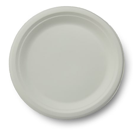 Hefty Everyday Styrofoam Plates White 8 7/8 Inch - 130 ct pkg