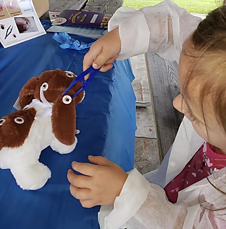Little Medical School How To Be A Veterinarian Kit - Office Depot