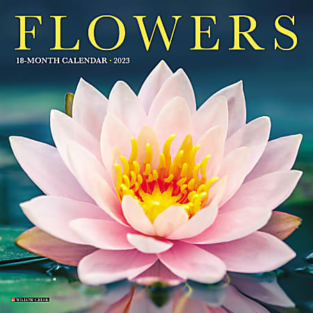 Willow Creek Press Monthly Mini Wall Calendar, 7" x 7", Flowers, January to December 2023, 30394