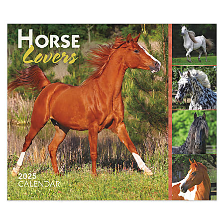 2025 BrownTrout Horse Lovers Daily Desktop Box Calendar, 6" x 5", Horses, January to December 2025, 9781975478421