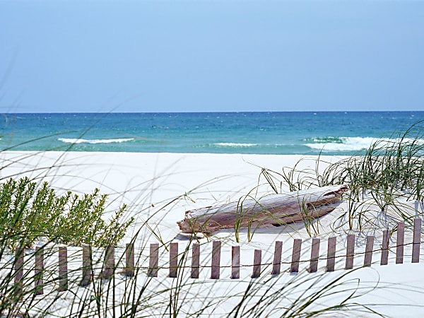 Biggies Landscape/Seascape Mural, 24" x 18", Unframed, South Carolina Coast