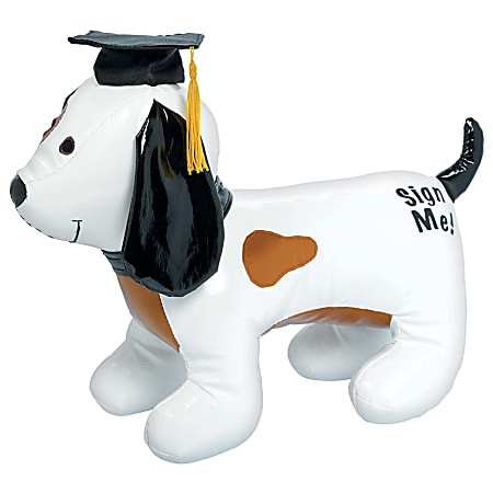 Graduation autograph dog new arrivals