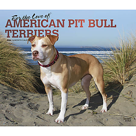 2024 BrownTrout Monthly Deluxe Wall Calendar, 14" x 12", For the Love of American Pit Bull Terriers, January to December