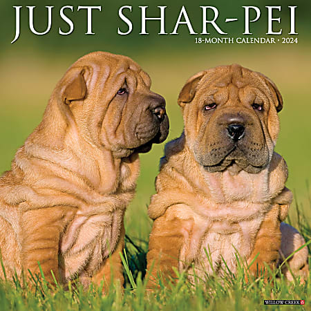 2024 Willow Creek Press Animals Monthly Wall Calendar, 12" x 12", Just Shar-Peis, January To December