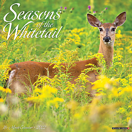 Willow Creek Press Animals Monthly Wall Calendar, 12" x 12", Seasons of the Whitetail, January to December 2022, 19542