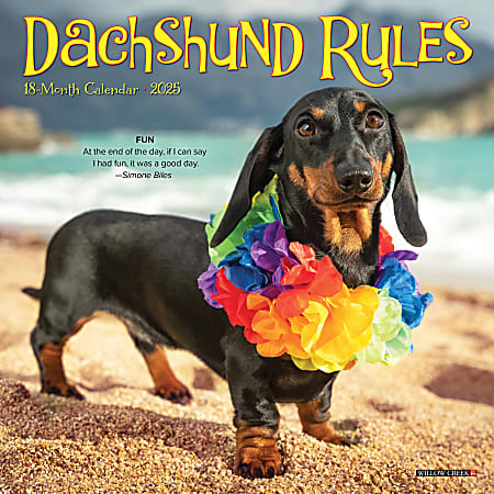 2025 Willow Creek Press Mini Wall Calendar, 7” x 7”, Dachshund, January 2025 To December 2025, 45749