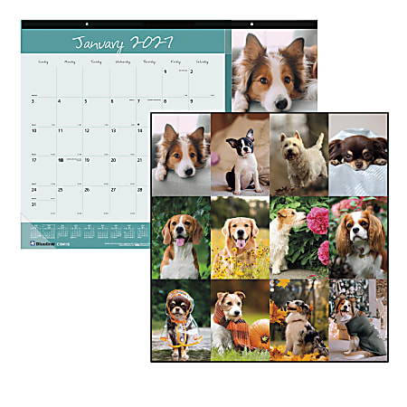 2027 Blueline® Colorful Monthly Desk Pad Calendar, 22” x 17”, Best Friends, January To December, C194116, Total Qty 1