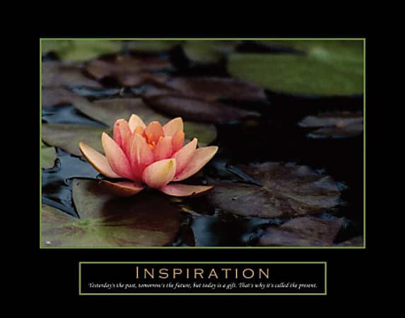 Crystal Art Gallery Motivational Print On Canvas, Inspiration, 22"H x 28"W, Pink