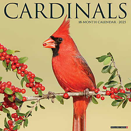 2025 Willow Creek Press Animals Monthly Wall Calendar, 12” x 12”, Cardinals, January To December, 42151
