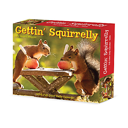 2025 Willow Creek Press Daily Desk Box Calendar, Animals, 5-1/2” x 6-1/4”, Gettin' Squirrelly, January To December, 40850