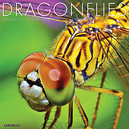 Willow Creek Press Animals Monthly Wall Calendar, Dragonflies, 12" x 12", January To December 2021