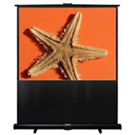 Optoma Panoview DP-MW9080A Portable Projection Screen
