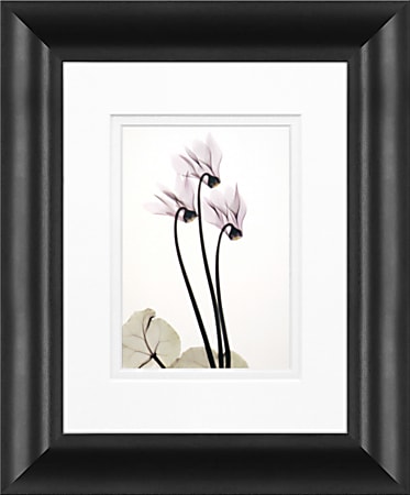 Timeless Frames Marren Framed Floral Artwork, 8" x 10", Black, Cyclamen Trio
