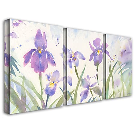 Trademark Global June Iris Gallery-Wrapped Canvas Print By Sheila Golden, 32"H x 48"W