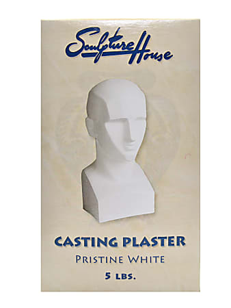 Sculpture House Pristine Casting Plaster, 5 Lb, White