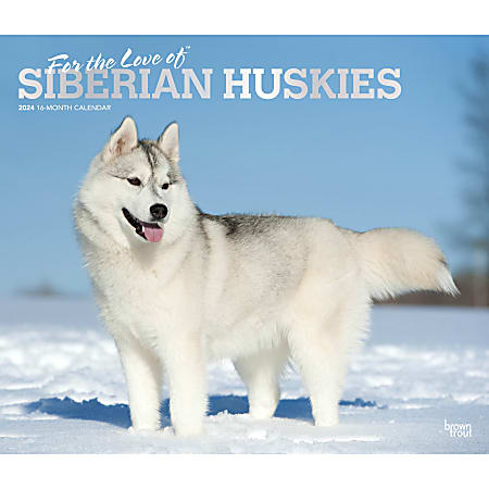 2024 BrownTrout Monthly Deluxe Wall Calendar, 14" x 12", For the Love of Siberian Huskies, January to December