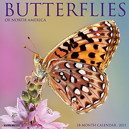 Willow Creek Press Animals Monthly Wall Calendar, Butterflies, 12" x 12", January To December 2021