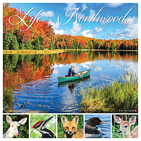 2024 Willow Creek Press Art & Design Monthly Wall Calendar, 12" x 12", Life in the Northwoods, January To December
