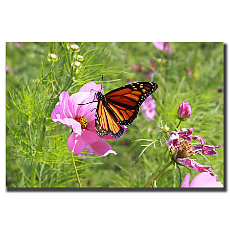 Trademark Global Spring I Gallery-Wrapped Canvas Print By Cary Hahn, 14"H x 19"W