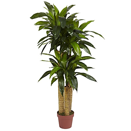 Nearly Natural 4' Polyester Artificial Dracaena Silk Plant, Green