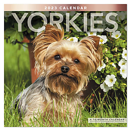 Office Depot® Brand Monthly Wall Calendar, Yorkies, January To December 2023, ODE3231023