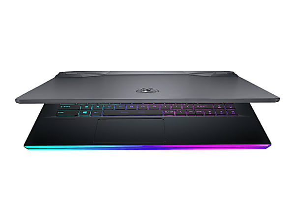 Msi ge66 hot sale raider